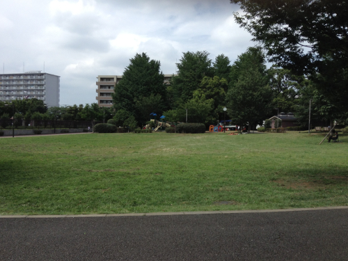 図書館お帰り道